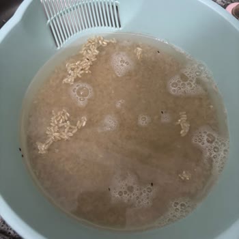 Yayla Bakliyat Pirinç Paketinde Böcek Bulundu