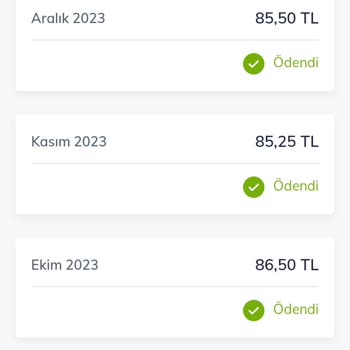 Vizyon Elektrik Telefon Faturası