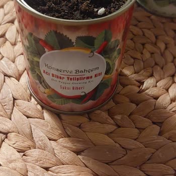 Konserve Bahçem Bahçe Bakım Kitinde Beklenen Sonuçların Alınamaması