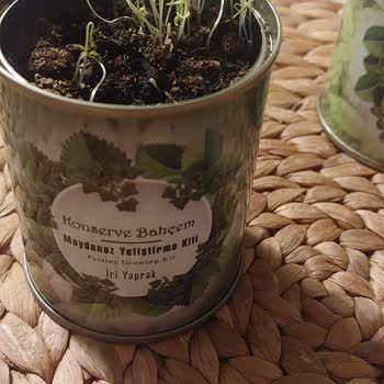 Konserve Bahçem Bahçe Bakım Kitinde Beklenen Sonuçların Alınamaması