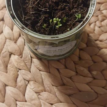 Konserve Bahçem Bahçe Bakım Kitinde Beklenen Sonuçların Alınamaması