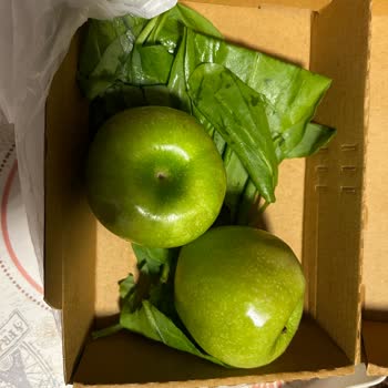 Müjgan Bahçelievler Rokalı Elma Salatası Yerine Roka Ve Elma Gönderdi!