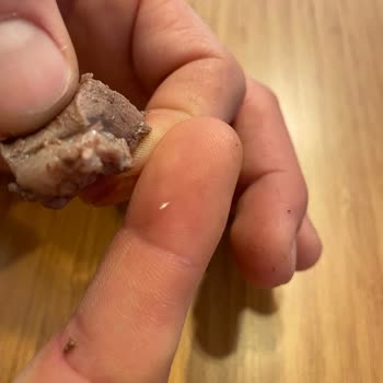 Evidea İncelemesi Duruma Bağlı Defolu