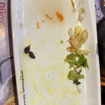 Tavuk Dünyası Tabağındaki Çürümüş Salatalar