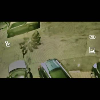 EyüpSultan Belediyesi Çırçır Mahallesinde Saldırgan Köpekler