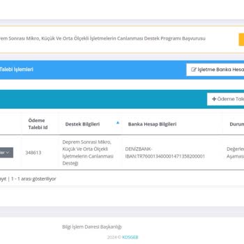 KOSGEB Deprem Sonrası KOBİ Desteği