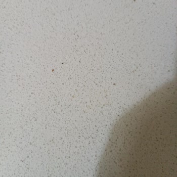 Yemeksepeti Burger King Siparişim Ortada Yok