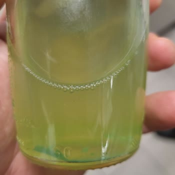 Schweppes Şişe İçerisindeki Yabancı Madde