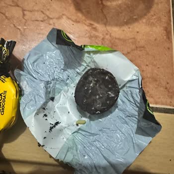 Evliya Şekerleme Kurtlanmış Şekerlemeli Çikolata