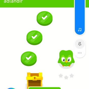 Duolingo Şikayet Üyeliğimin Gelmemesi