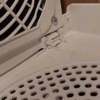 Vestel Mi Asla Büyük Pişmanlık