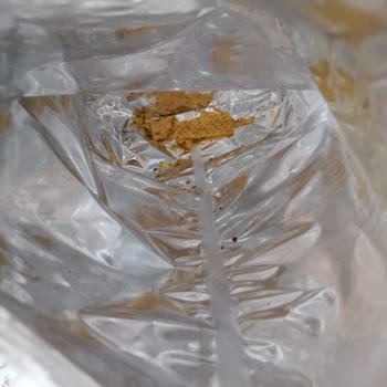 Doritos Dippas Cipsinin İçinden Çıkmayan Baharat Sosu