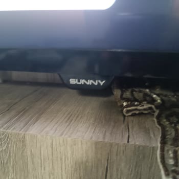 Kaan Soğutma Klima Ve Beyaz Eşya Hakaret Etti