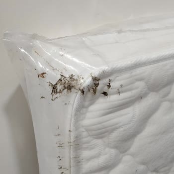 Hijyen Kurallarına Uyulmadan Gönderilen Bebek Yatağı Emar AVM Yataş Ma