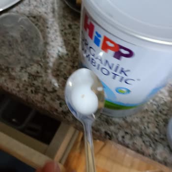 Hipp Mamadan Kurt Çıktı