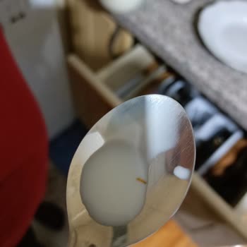 Hipp Mamadan Kurt Çıktı