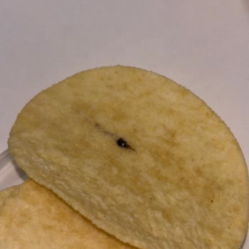 Master Potato Cipste Yabancı Madde