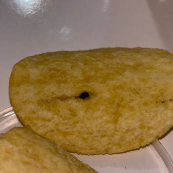 Master Potato Cipste Yabancı Madde