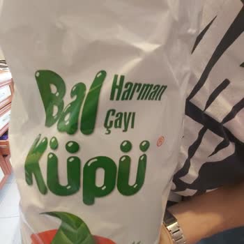 Balküpü Çayın İçinden Çıkan Sarı Saplar