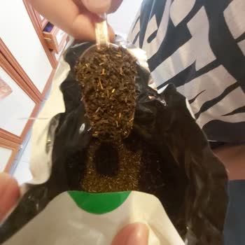 Balküpü Çayın İçinden Çıkan Sarı Saplar