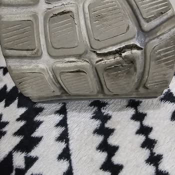 2 Ayda Yıpranan Skechers Ayakkabı Sorunu