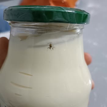 Carrefour SA Calve Mayonezin İçinden Sivri Sinek Çıktı