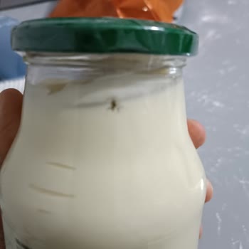 Carrefour SA Calve Mayonezin İçinden Sivri Sinek Çıktı