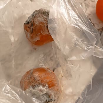 Arçelik Buzdolabım Bütün Meyve Sebzelerimi Bozuyor