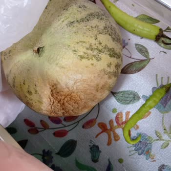 Arçelik Buzdolabım Bütün Meyve Sebzelerimi Bozuyor