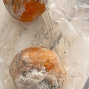 Arçelik Buzdolabım Bütün Meyve Sebzelerimi Bozuyor