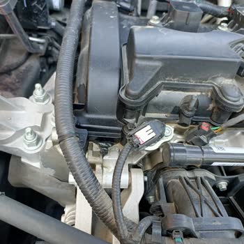 I Request Replacement Of My Ford Focus Vehicle