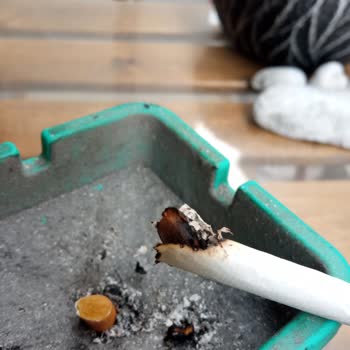 Winston Blue De Odun Parçaları