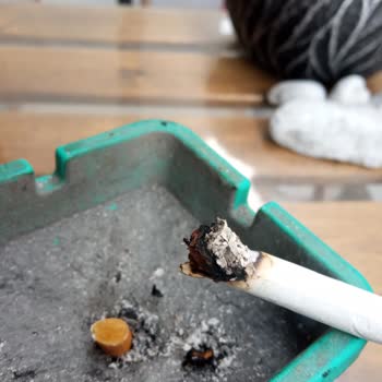 Winston Blue De Odun Parçaları