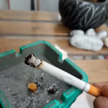 Winston Blue De Odun Parçaları