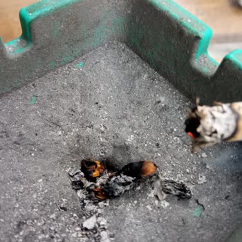 Winston Blue De Odun Parçaları