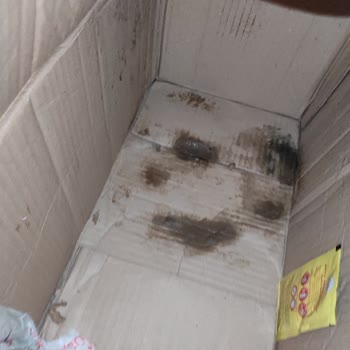 Sürat Kargo Hasarlı Kargo Ve Eksik Ürünler