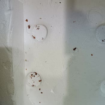 BİM Kumtel Yoğurma Makinesi Ve Teknik Servis Sorunu