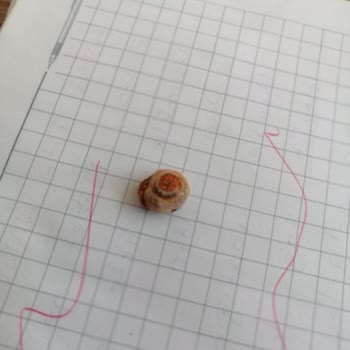 BİM İn Kuruyemişlerinden Salyangoz Çıkıyor