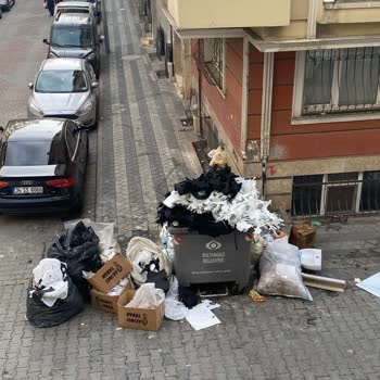 Sultangazi Belediyesi Çevre Ve Temizlik