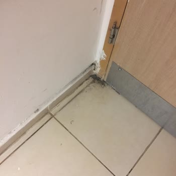 Sağlık Bakanlığı Devlet Hastanesinin Temizlik Sorunları