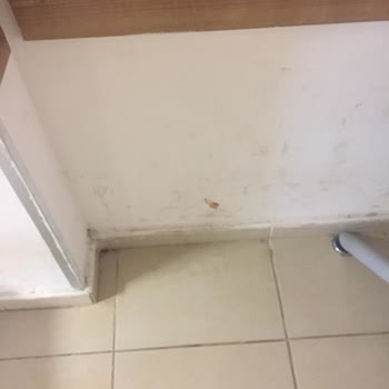 Sağlık Bakanlığı Devlet Hastanesinin Temizlik Sorunları