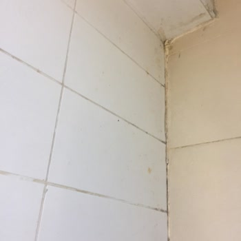 Sağlık Bakanlığı Devlet Hastanesinin Temizlik Sorunları