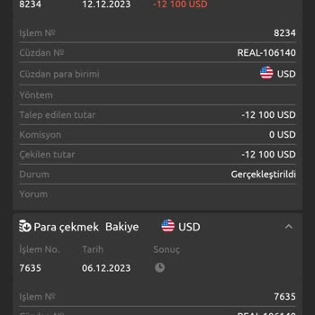 Skype Wallet Programı Döviz Alım Satım Yurt Dışı