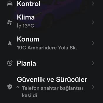 Tesla Model Y Full Skandal