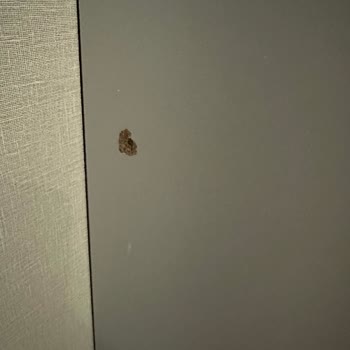 Kelebek Mobilya M***** Çocuk Odası