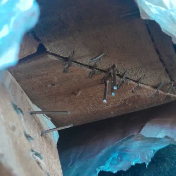 Zontaş Taşımacılık Güvensiz İş Usulsüz Evrak