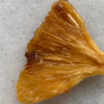 Taze Kuru Quru Marka Kurutulmuş Ananasın İçinden Saç Çıktı