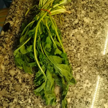 A101 Kapıda Alışverişte Roka