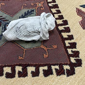 Rize Yöre Halı Yıkama, Halıyı Yıkamadan Gönderdiler!