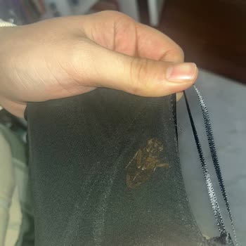 Zara Böcekli Elbise Gönderimi